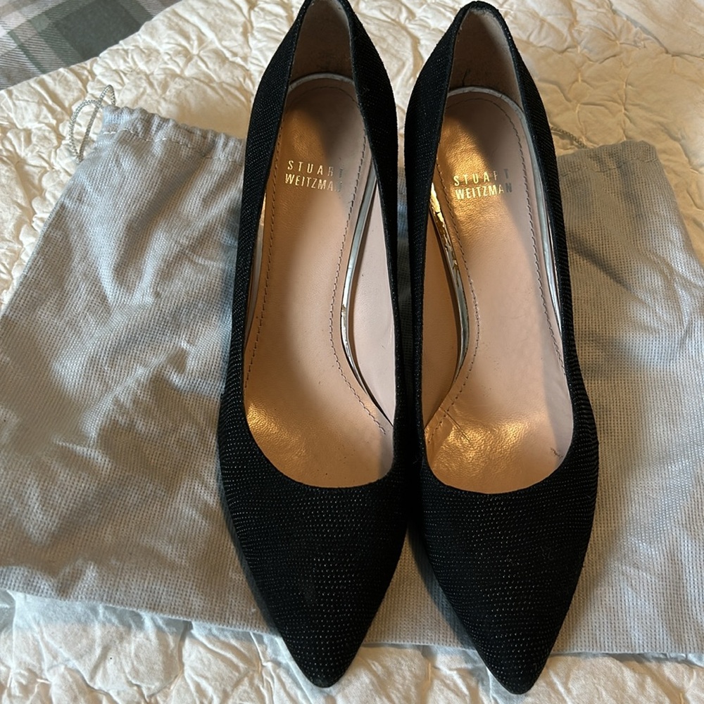 Classic SW Pumps